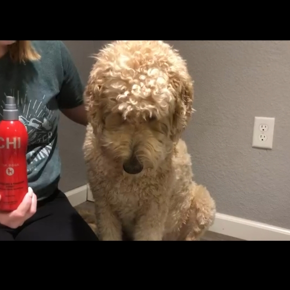 CHI Detangling Finishing Dog Spray, 10-fl oz bottle - Picture 8 of 8